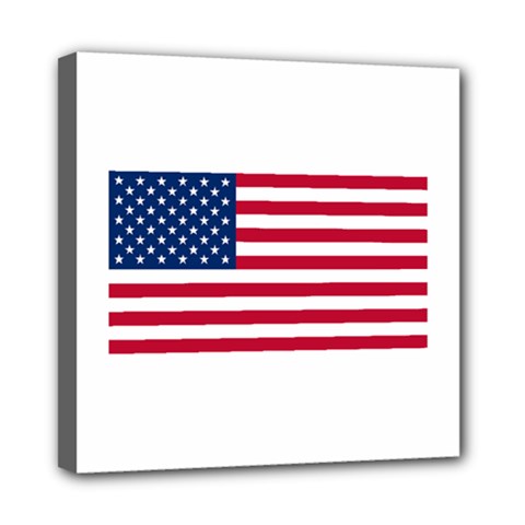 Usa1 Mini Canvas 8  X 8 