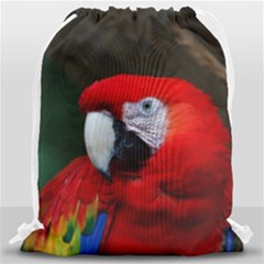 Scarlet Macaw Bird Drawstring Bag (large)