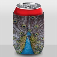 Peacock-feathers2 Can Holder