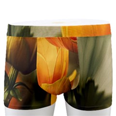 Yellow Butterfly Flower Men s Boxer Briefs