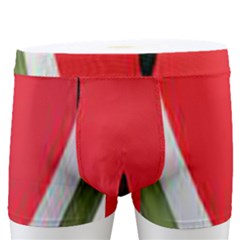 Watermelon Pillow Fluffy Men s Boxer Briefs