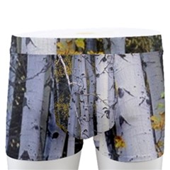 White Birch Trees Autumn Men s Boxer Briefs