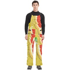Fruit, Lemon Men s Side Zip Front Pouch Ski And Snowboard Bib Pants	