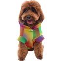 Custom Rainbo Color Name Any Text Dog Coat View1