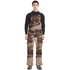 Path Trees Forest Fantasy Men s Side Zip Front Pouch Ski And Snowboard Bib Pants	