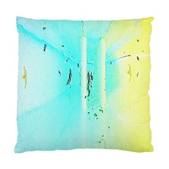 Perspective Cushion Case (single Sided) 