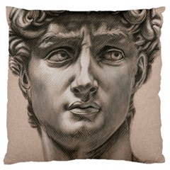 David Large Cushion Case (single Sided) 