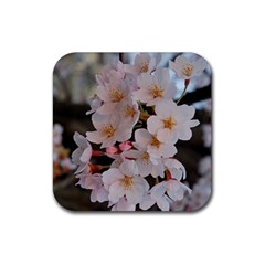 Sakura Rubber Coaster (square) 