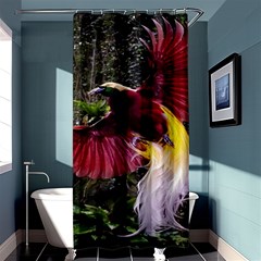 Cendrawasih Beautiful Bird Of Paradise Shower Curtain 36  X 72  (stall) 