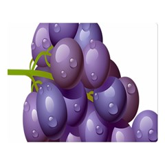 Grape Fruit Double Sided Flano Blanket (large) 