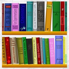 Shelf Books Library Reading Canvas 20  X 20  