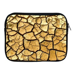 Dry Ground Apple Ipad 2/3/4 Zipper Cases