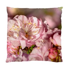 Beautiful Flowering Almond Standard Cushion Case (one Side)