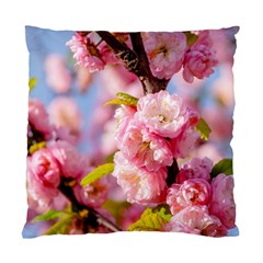 Flowering Almond Flowersg Standard Cushion Case (one Side)