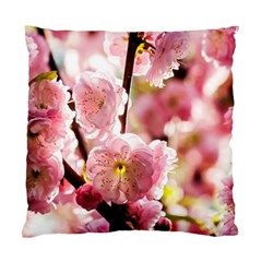 Blooming Almond At Sunset Standard Cushion Case (one Side)