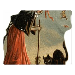 Witch 1461961 1920 Double Sided Flano Blanket (large) 