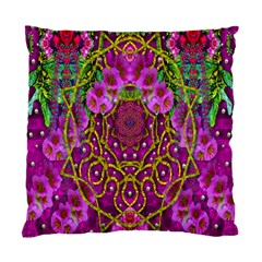 Star Of Freedom Ornate Rainfall In The Tropical Rainforest Standard Cushion Case (one Side)