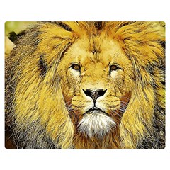 Lion Lioness Wildlife Hunter Double Sided Flano Blanket (medium) 