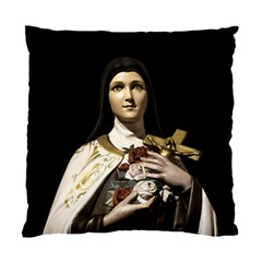 Virgin Mary Sculpture Dark Scene Standard Cushion Case (one Side)