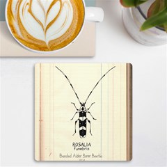 Img016 Uv Print Square Tile Coaster 