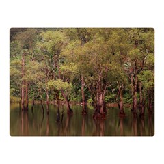 Landscape Jungle Reflection Nature Double Sided Flano Blanket (mini) 