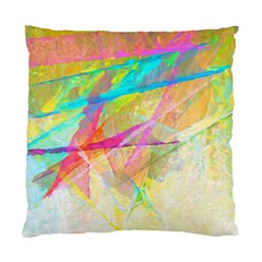 Abstract-14 Standard Cushion Case (one Side)