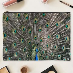 Peacock-feathers1 Cosmetic Bag (xxxl)