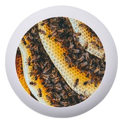 Yellow And Black Bees On Brown And Black Dento Box With Mirror