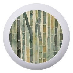 Bamboo Plants Dento Box With Mirror