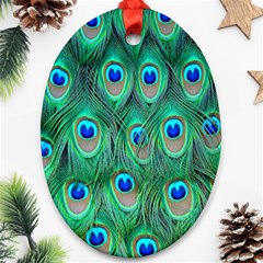 Feather, Bird, Pattern, Peacock, Texture Ornament (oval)