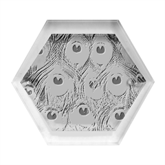 Peacock Feathers, Bonito, Bird, Blue, Colorful, Feathers Hexagon Wood Jewelry Box