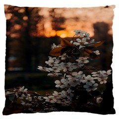 White Flower 16  Baby Flannel Cushion Case (two Sides)