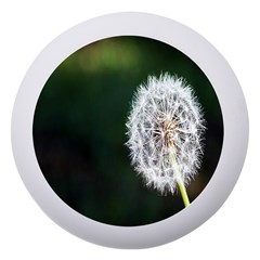 White Flower Dento Box With Mirror