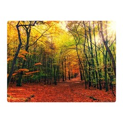 Forest Woods Autumn Nature Two Sides Premium Plush Fleece Blanket (mini)