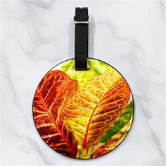 Leaves Plant Pattern Croton Nature Nappa Leather Luggage Tag Round