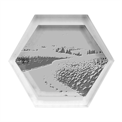 Sunflowers Flowers Nature Hexagon Wood Jewelry Box